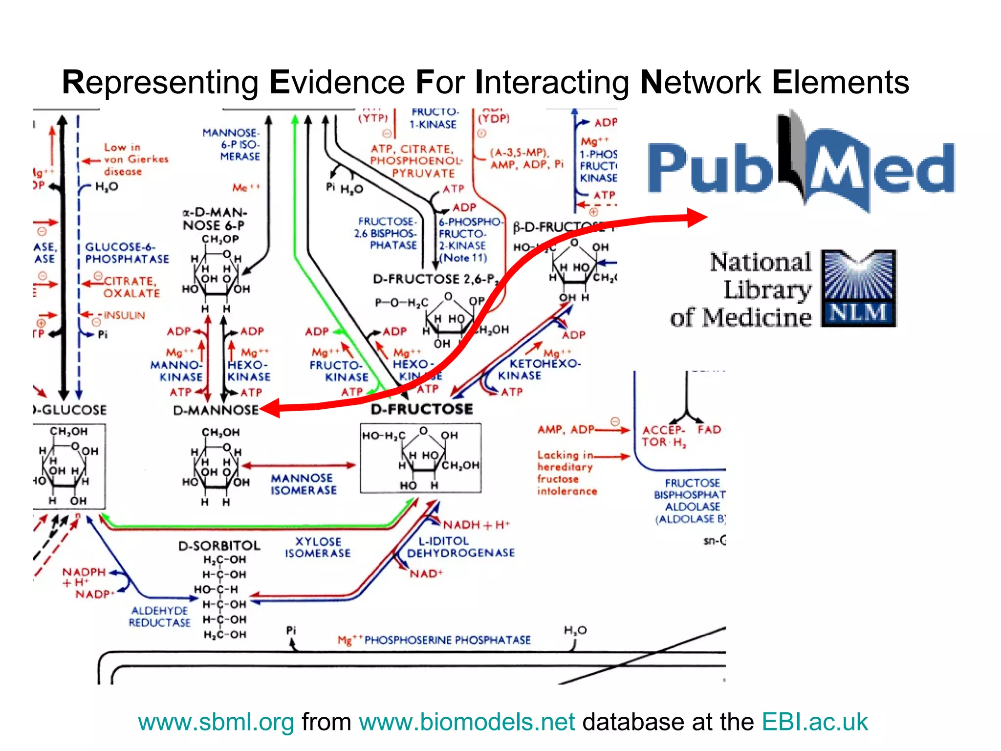 R epresenting  E vidence  F or  I nteracting  N etwork  E lements www.sbml.org  from  www.biomodels.net  database at the  EBI.ac.uk   