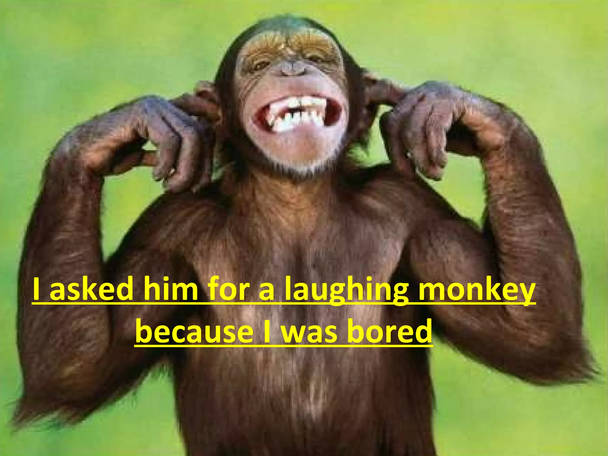 I asked him for a laughing monkey because I was bored 