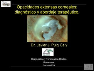 Opacidades extensas corneales:
diagnóstico y abordaje terapéutico.

Dr. Javier J. Puig Galy

Diagnóstico y Terapéutica Ocular.
Barcelona.
3-febrero-2014

 