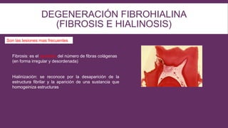 DEGENERACIÓN FIBROHIALINA
(FIBROSIS E HIALINOSIS)
Son las lesiones mas frecuentes
Fibrosis: es el aumento del número de fibras colágenas
(en forma irregular y desordenada)
Hialinización: se reconoce por la desaparición de la
estructura fibrilar y la aparición de una sustancia que
homogeiniza estructuras
 