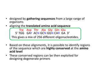 • designed by gathering sequences from a large range of
organisms
• aligning the translated amino acid sequence
Trp Asp Thr Ala Gly Gln Glu
5' TGG GAY ACN GCN GGN CAR GA 3‘
This gives a mix of 256 different oligonucleotides.
• Based on these alignments, it is possible to identify regions
of the sequence which are highly conserved at the amino
acid level
• These conserved regions can be then exploited for
designing degenerate primers
 