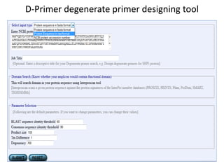 D-Primer degenerate primer designing tool
 