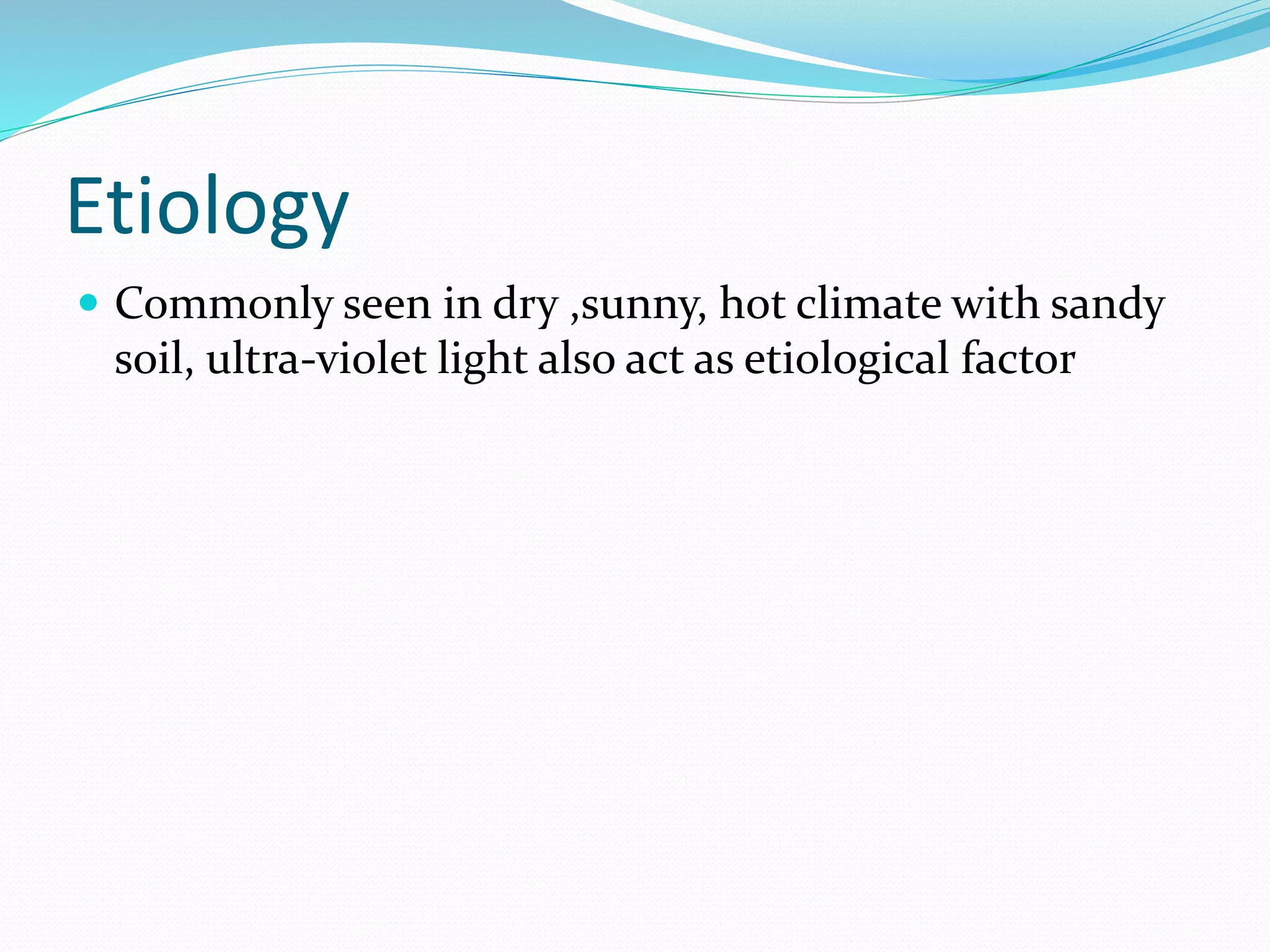 Etiology
 Commonly seen in dry ,sunny, hot climate with sandy
soil, ultra-violet light also act as etiological factor
 