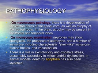 PATHOPHYSIOLOGY
• . On macroscopic pathology, there is a degeneration of
•
•

the ventral horns of the spinal cord, as well as atrophy of
the ventral roots. In the brain, atrophy may be present in
the frontal and temporal lobes.
On microscopic examination, neurones may show
spongiosis, the presence of astrocytes, and a number of
inclusions including characteristic "skein-like" inclusions,
bunina bodies, and vacuolisation.
There is a role in excitotoxicity and oxidative stress,
presumably secondary to mitochondrial dysfunction. In
animal models, death by apoptosis has also been
identified.

 