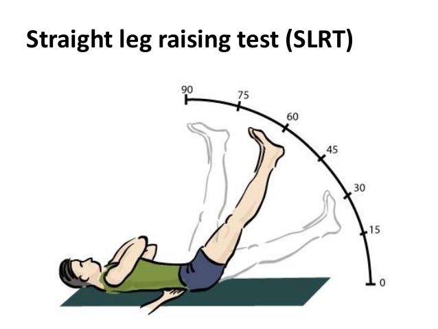 Image result for straight leg raises"