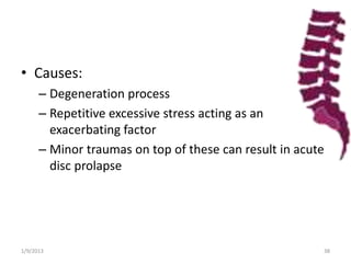 • Causes:
– Degeneration process
– Repetitive excessive stress acting as an
exacerbating factor
– Minor traumas on top of these can result in acute
disc prolapse
1/9/2013 38
 