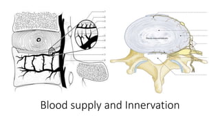Blood supply and Innervation
 