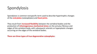 Spondylosis
Spondylosis is common nonspecific term used to describe hypertrophic changes
of the end plates (osteophytes) and facet joints.
They result from increased flexibility between the vertebral bodies and the
production of inhomogeneous mechanical stress on the annulus fibrosus and
edges of the vertebral body, with subsequent sclerotic or hyperplastic changes
occurring on the edges of the vertebral bodies.
There are three types of true degenerative osteophytes:
 