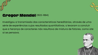 Transmissão das Características Hereditárias: De Mendel a Hemofilia | PDF