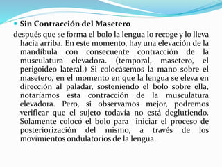  Sin Contracción del Masetero
después que se forma el bolo la lengua lo recoge y lo lleva
hacia arriba. En este momento, hay una elevación de la
mandíbula con consecuente contracción de la
musculatura elevadora. (temporal, masetero, el
perigoideo lateral.) Si colocásemos la mano sobre el
masetero, en el momento en que la lengua se eleva en
dirección al paladar, sosteniendo el bolo sobre ella,
notaríamos esta contracción de la musculatura
elevadora. Pero, si observamos mejor, podremos
verificar que el sujeto todavía no está deglutiendo.
Solamente colocó el bolo para iniciar el proceso de
posteriorización del mismo, a través de los
movimientos ondulatorios de la lengua.
 