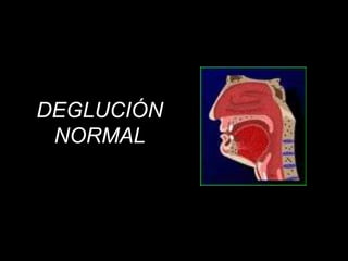 DEGLUCIÓNNORMAL 