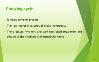 Deglutition and Chewing cycle _Dr. Pratistha | PDF