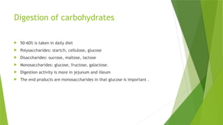 Digestion of carbohydrates
 50-60% is taken in daily diet
 Polysaccharides: startch, cellulose, glucose
 Disaccharides: sucrose, maltose, lactose
 Monosaccharides: glucose, fructose, galactose.
 Digestion activity is more in jejunum and iileum
 The end products are monosaccharides in that glucose is important .
 