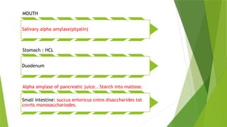 MOUTH
Salivary alpha amylase(ptyalin)
Stomach : HCL
Duodenum
Alpha amylase of pancreatic juice.. Starch into maltose.
Small intestine: succus entericus cntns disaccharides tat
cnvrts monosacchariodes.
 
