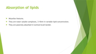 Absorption of lipids
 Miscelles features.
 They are water soluble complexes, 3-10nm in variable lipid concentration.
 They are passively absorbed in luminal brush border.
 