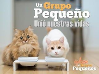 Unió nuestras vidas
 