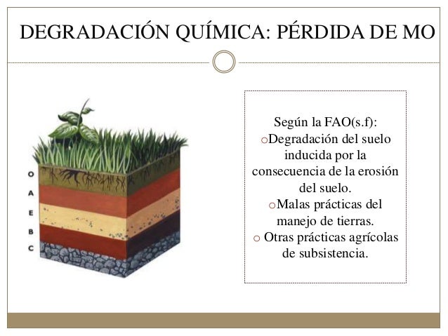 Actividad Humana Acelera La Degradación Del Suelo – HWFD