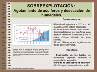 SOBREEXPLOTACIÓN:
Agotamiento de acuíferos y desecación de
humedales.
Consecuencia de:
-Mentalidad higienista s. XIX y pp.XX
(acabar con las fiebres palúdicas).
-Obtener nuevas tierras para cultivos.
-Sobreexplotación de acuíferos para
regadío (desecan humedales y en la
costa produce intrusión de agua
salinas)
-Obras públicas para la regularización
de los cauces fluviales.
Resultado:
- Destrucción de los hábitat de
numerosas especies animales y
comunidades vegetales.
-Pérdida de productividad del suelo.
-Contribuye a descohesionar el suelo.
Relación entre el bombeo de agua de acuíferos en la
Mancha con el aumento del caudal del río Júcar. Como se
observa hay una relación inversa, cuanto más aumentan
los bombeos desde los acuíferos menos aumenta el caudal
del río Júcar.
Fuente: Ministerio de Medio Ambiente
 
