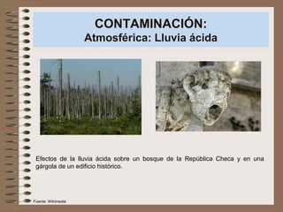CONTAMINACIÓN:
Atmosférica: Lluvia ácida
Efectos de la lluvia ácida sobre un bosque de la República Checa y en una
gárgola de un edificio histórico.
Fuente: Wikimedia
 