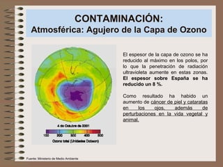 CONTAMINACIÓN:
Atmosférica: Agujero de la Capa de Ozono
El espesor de la capa de ozono se ha
reducido al máximo en los polos, por
lo que la penetración de radiación
ultravioleta aumente en estas zonas.
El espesor sobre España se ha
reducido un 8 %.
Como resultado ha habido un
aumento de cáncer de piel y cataratas
en los ojos, además de
perturbaciones en la vida vegetal y
animal.
Fuente: Ministerio de Medio Ambiente
 
