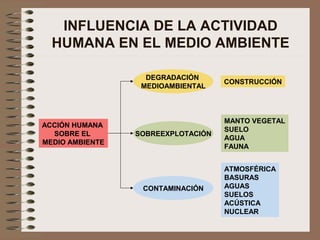 INFLUENCIA DE LA ACTIVIDAD
HUMANA EN EL MEDIO AMBIENTE
ACCIÓN HUMANA
SOBRE EL
MEDIO AMBIENTE
DEGRADACIÓN
MEDIOAMBIENTAL
SOBREEXPLOTACIÓN
CONTAMINACIÓN
CONSTRUCCIÓN
MANTO VEGETAL
SUELO
AGUA
FAUNA
ATMOSFÉRICA
BASURAS
AGUAS
SUELOS
ACÚSTICA
NUCLEAR
 