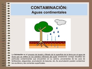 CONTAMINACIÓN:
Aguas continentales
La lixiviación es el proceso de lavado y filtrado de la superficie de la tierra por el agua de
lluvia que se infiltra en los estratos inferiores del suelo arrastrando consigo disueltas las
partículas contaminantes que encuentren en su camino, provenientes de los usos de
fertilizantes, plaguicidas, acumulación de basuras, etc..Su acumulación pueden contaminar
los acuíferos y las corrientes superficiales.
 