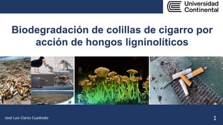 Biodegradación de colillas de cigarro por
acción de hongos ligninolíticos
1
José Luis Claros Cuadrado
 