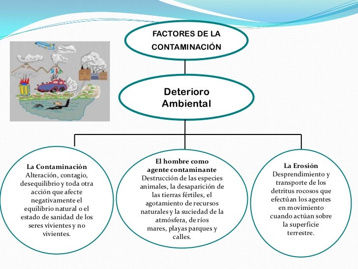 Diagrama Con Factores De Degradación Ambiental