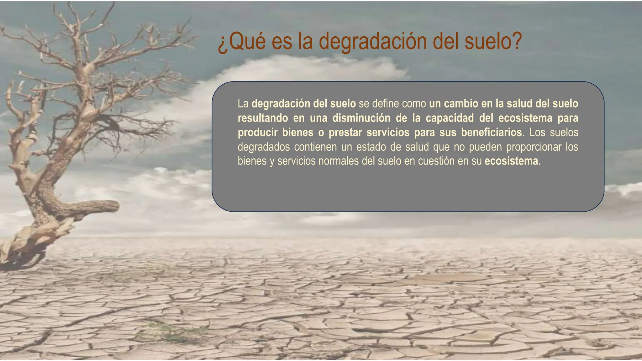 La degradación del suelo - causas y efectos | PPTX