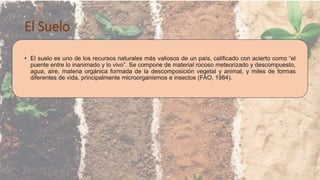 La degradación del suelo - causas y efectos | PPTX