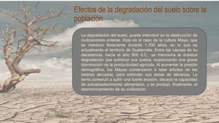La degradación del suelo - causas y efectos | PPTX