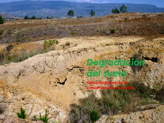 Degradación 
del suelo 
Generalidades de la 
conservación de suelos 
 
