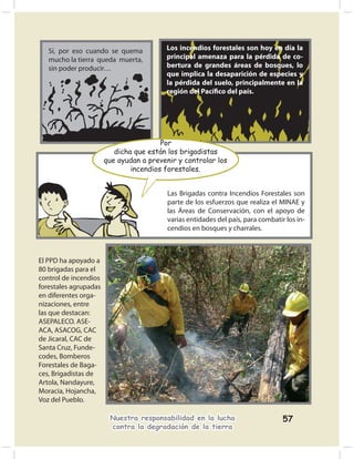 Sí, por eso cuando se quema           Los incendios forestales son hoy en día la
   mucho la tierra queda muerta,         principal amenaza para la pérdida de co-
   sin poder producir…                   bertura de grandes áreas de bosques, lo
                                         que implica la desaparición de especies y
                                         la pérdida del suelo, principalmente en la
                                         región del Pacíﬁco del país.




                                        Por
                          dicha que están los brigadistas
                       que ayudan a prevenir y controlar los
                               incendios forestales.


                                          Las Brigadas contra Incendios Forestales son
                                          parte de los esfuerzos que realiza el MINAE y
                                          las Áreas de Conservación, con el apoyo de
                                          varias entidades del país, para combatir los in-
                                          cendios en bosques y charrales.



El PPD ha apoyado a
80 brigadas para el
control de incendios
forestales agrupadas
en diferentes orga-
nizaciones, entre
las que destacan:
ASEPALECO. ASE-
ACA, ASACOG, CAC
de Jicaral, CAC de
Santa Cruz, Funde-
codes, Bomberos
Forestales de Baga-
ces, Brigadistas de
Artola, Nandayure,
Moracia, Hojancha,
Voz del Pueblo.

                        Nuestra responsabilidad en la lucha                       57
                        contra la degradación de la tierra
 
