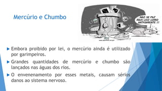  Embora proibido por lei, o mercúrio ainda é utilizado
por garimpeiros.
 Grandes quantidades de mercúrio e chumbo são
lançados nas águas dos rios.
 O envenenamento por esses metais, causam sérios
danos ao sistema nervoso.
Mercúrio e Chumbo
 