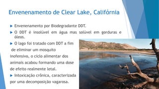 Envenenamento de Clear Lake, Califórnia
 Envenenamento por Biodegradante DDT.
 O DDT é insolúvel em água mas solúvel em gorduras e
óleos.
 O lago foi tratado com DDT a fim
de eliminar um mosquito
inofensivo, o ciclo alimentar dos
animais acabou formando uma dose
de efeito realmente letal.
 Intoxicação crônica, caracterizada
por uma decomposição vagarosa.
 
