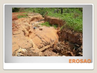 EROSAO