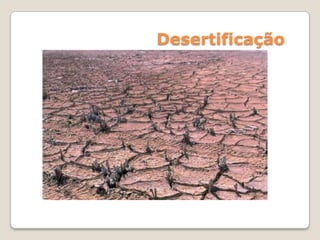 Desertificação
