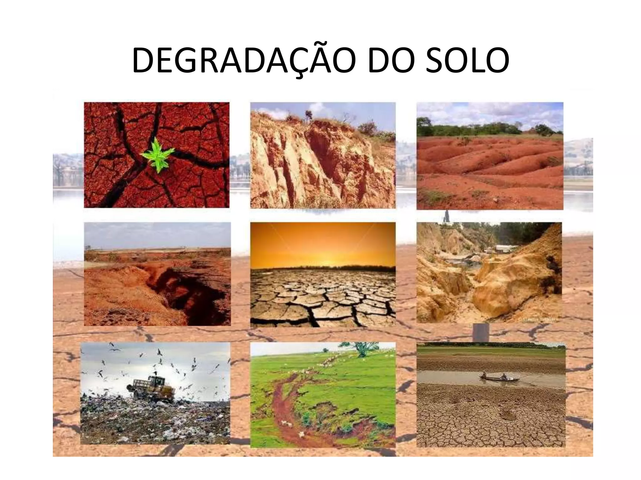 Degradação do solo: erosão e desmatamento | PPT