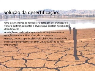 Solução da desertificação:
Uma das maneiras de recuperar a terra em desertificação é
voltar a cultivar as plantas e árvores que existem no sitio da
desertificação .
A solução certa de evitar que o solo se degrade é usar a
rotação de cultura. Quer dizer, de tempos em
tempos, trocar o tipo de plantação , há outras maneiras de
se recuperar e preservar os solos , mas estas são as mais
importantes.




                                  Escola Padre José Rota
 