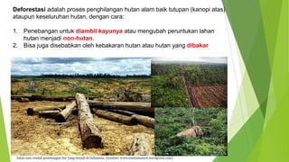 Deforestasi adalah proses penghilangan hutan alam baik tutupan (kanopi atas)
ataupun keseluruhan hutan, dengan cara:
1. Penebangan untuk diambil kayunya atau mengubah peruntukan lahan
hutan menjadi non-hutan.
2. Bisa juga disebabkan oleh kebakaran hutan atau hutan yang dibakar
 