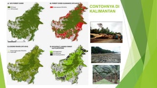 CONTOHNYA DI
KALIMANTAN
 