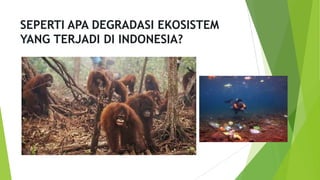 SEPERTI APA DEGRADASI EKOSISTEM
YANG TERJADI DI INDONESIA?
 