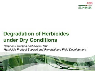 Degradation of Herbicides
under Dry Conditions
Stephen Strachan and Kevin Hahn
Herbicide Product Support and Renewal and Field Development
 