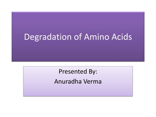 Degradation of Amino Acids
Presented By:
Anuradha Verma
 
