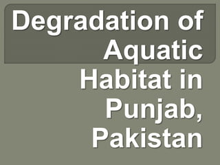 Degradation of
Aquatic
Habitat in
Punjab,
Pakistan
 