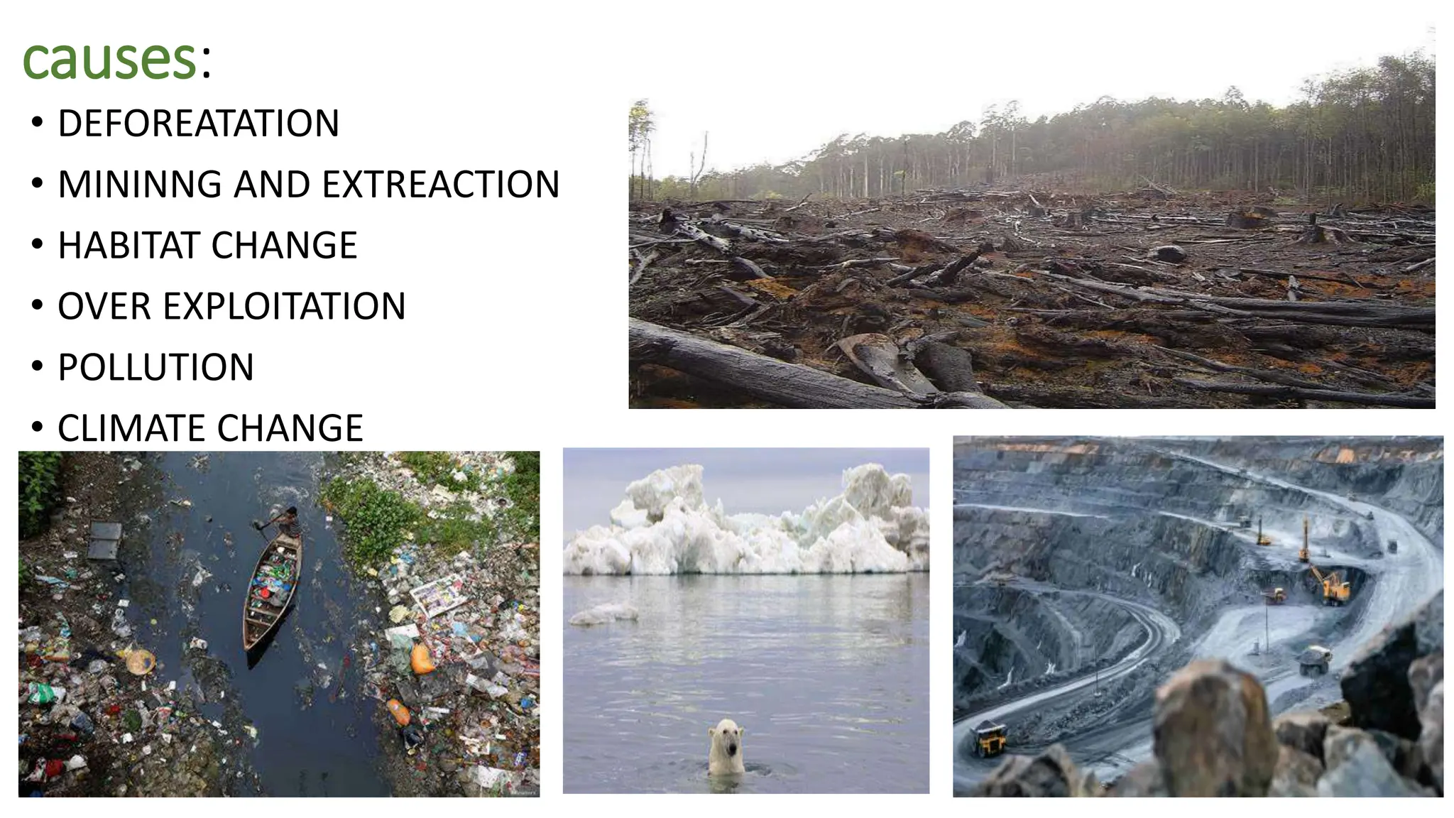 ECOLOGY PPT ON DEGRADATION OF ECOSYSTEM .pptx