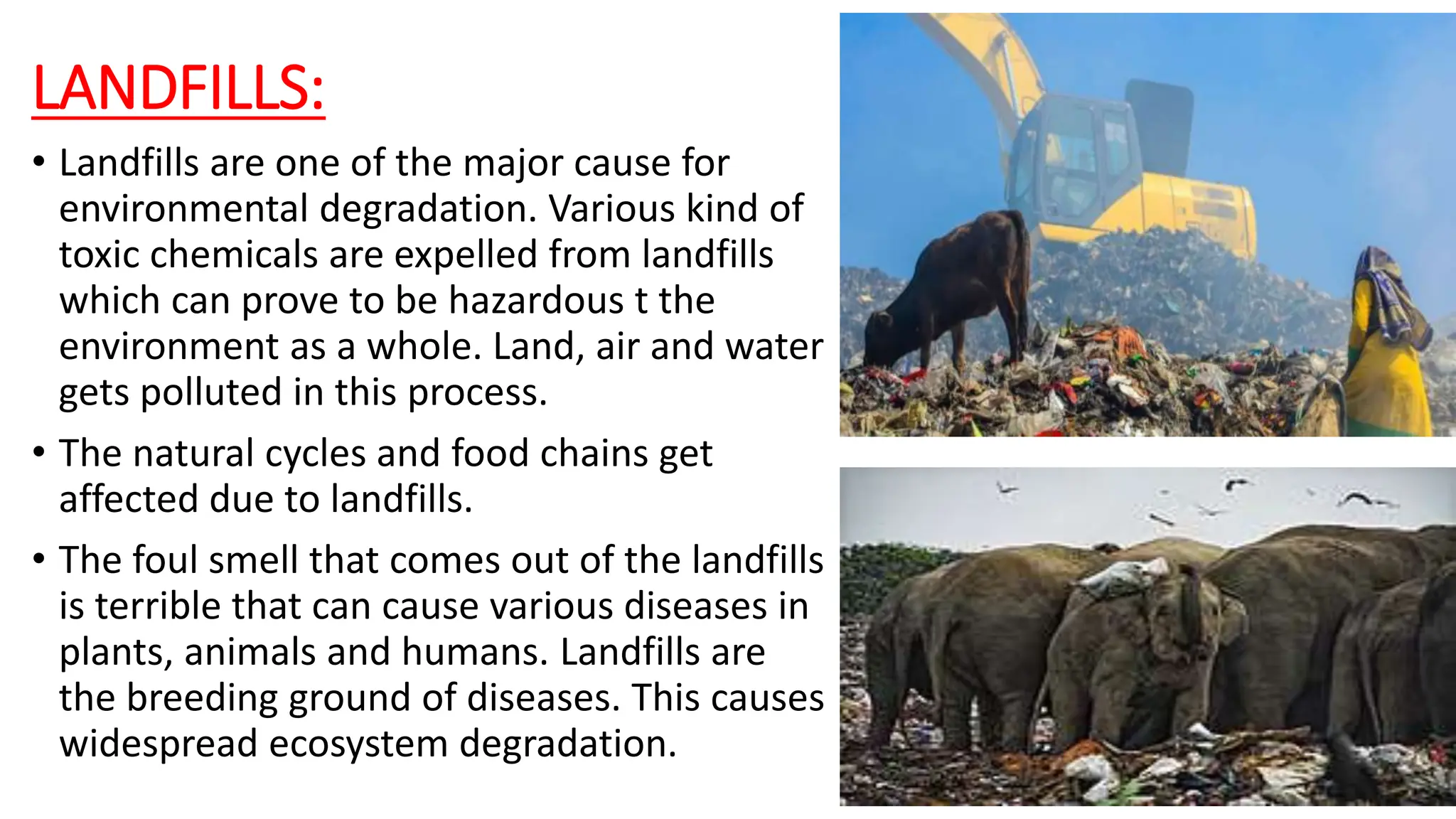 ECOLOGY PPT ON DEGRADATION OF ECOSYSTEM .pptx