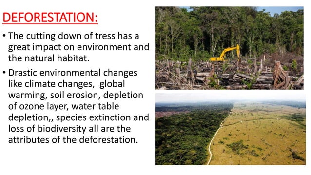 ECOLOGY PPT ON DEGRADATION OF ECOSYSTEM .pptx
