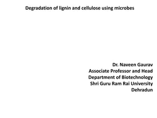 Degradation of lignin and cellulose using microbes
Dr. Naveen Gaurav
Associate Professor and Head
Department of Biotechnology
Shri Guru Ram Rai University
Dehradun
 
