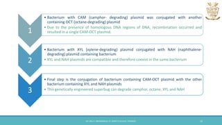 1
• Bacterium with CAM (camphor- degrading) plasmid was conjugated with another
containing OCT (octane-degrading) plasmid
• Due to the presence of homologous DNA regions of DNA, recombination occurred and
resulted in a single CAM-OCT plasmid.
2
• Bacterium with XYL (xylene-degrading) plasmid conjugated with NAH (naphthalene-
degrading) plasmid containing bacterium
• XYL and NAH plasmids are compatible and therefore coexist in the same bacterium
3
• Final step is the conjugation of bacterium containing CAM-OCT plasmid with the other
bacterium containing XYL and NAH plasmids
• This genetically engineered superbug can degrade camphor, octane, XYL and NAH
DR. ANU P. ABHIMANNUE, ST. MARY'S COLLEGE, THRISSUR. 13
 